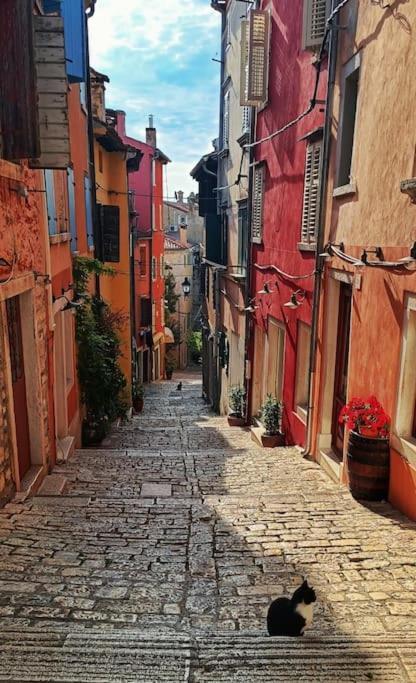 Apartamento Little Heaven Rovinj Exterior foto